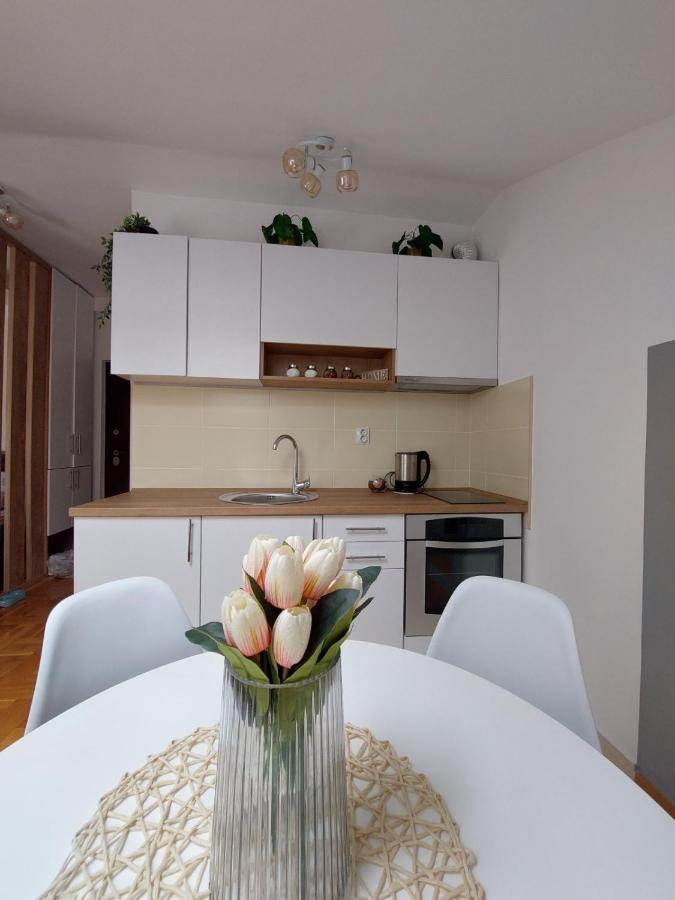 Soul Stan Na Dan Apartamento Novi Sad Exterior foto